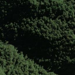 Satellite imagery of Selborne Spur, NZ
