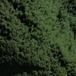 Satellite imagery of Selborne Spur, NZ
