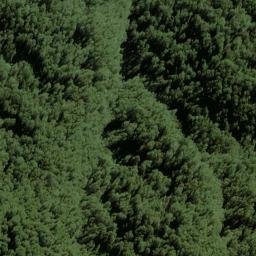 Satellite imagery of Selborne Spur, NZ