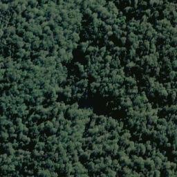 Satellite imagery of Sunset Spur, NZ