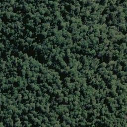 Satellite imagery of Sunset Spur, NZ