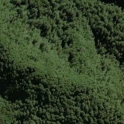 Satellite imagery of Selborne Spur, NZ