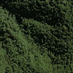 Satellite imagery of Selborne Spur, NZ