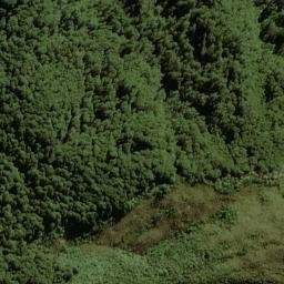 Satellite imagery of Selborne Spur, NZ