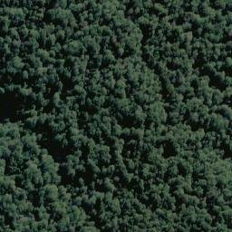 Satellite imagery of Sunset Spur, NZ