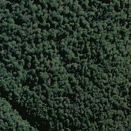 Satellite imagery of Sunset Spur, NZ