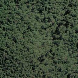 Satellite imagery of Sunset Spur, NZ