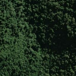 Satellite imagery of Selborne Spur, NZ