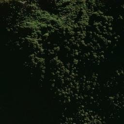 Satellite imagery of Crevice Spur, NZ