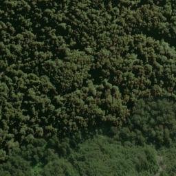 Satellite imagery of Trembling Spur, NZ