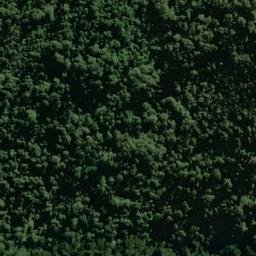 Satellite imagery of Selborne Spur, NZ