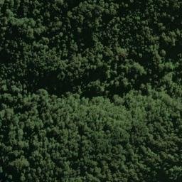 Satellite imagery of Selborne Spur, NZ