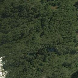 Satellite imagery of Blowfly Spur, NZ