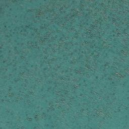 Satellite imagery of Iota Bluff, NZ