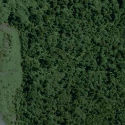 Satellite imagery of Balustrad Cliff, NZ