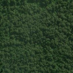 Satellite imagery of Balustrad Cliff, NZ