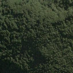 Satellite imagery of Cuttance Ridge, NZ