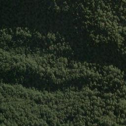 Satellite imagery of Cuttance Ridge, NZ