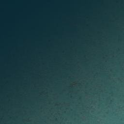 Satellite imagery of Barn Bay Bluff, NZ