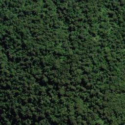 Satellite imagery of Slippery Spur, NZ