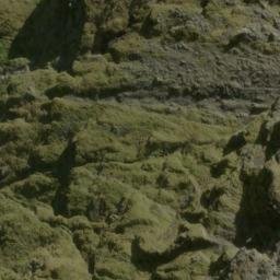 Satellite imagery of Douglas Faces, NZ