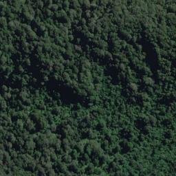 Satellite imagery of Hutchinson Spur, NZ