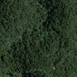 Satellite imagery of Standish Ridge, NZ