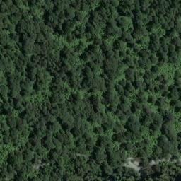 Satellite imagery of Burmeister Point, NZ