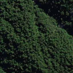 Satellite imagery of Slippery Spur, NZ