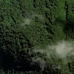 Satellite imagery of Slippery Spur, NZ