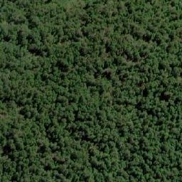 Satellite imagery of Cerro Puntiagudo, CL