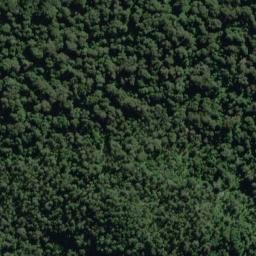 Satellite imagery of Burmeister Point, NZ
