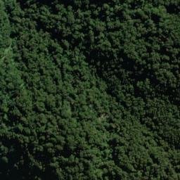 Satellite imagery of Slippery Spur, NZ