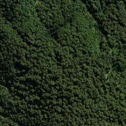 Satellite imagery of Slippery Spur, NZ