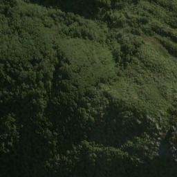 Satellite imagery of Douglas Faces, NZ