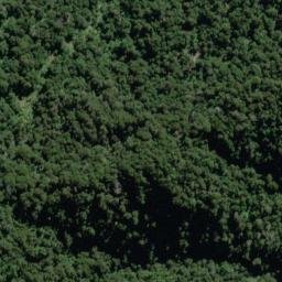 Satellite imagery of Wheeler Spur, NZ