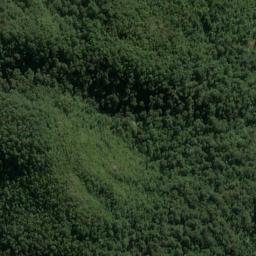 Satellite imagery of Murdoch Spur, NZ