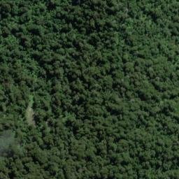 Satellite imagery of Wheeler Spur, NZ