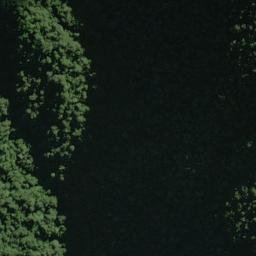 Satellite imagery of Patchwork Spur, NZ