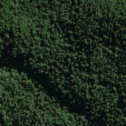 Satellite imagery of Patchwork Spur, NZ