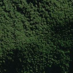 Satellite imagery of Smoothwater Point, NZ