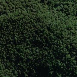 Satellite imagery of Wheeler Spur, NZ