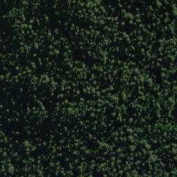 Satellite imagery of Patchwork Spur, NZ