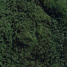 Satellite imagery of Wheeler Bluff, NZ