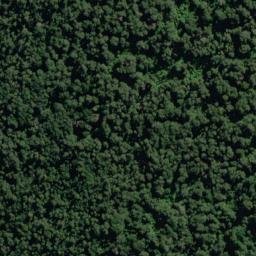 Satellite imagery of Callery Spur, NZ