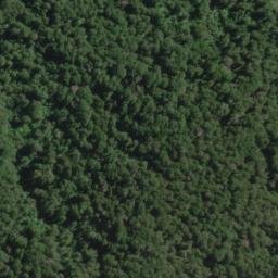 Satellite imagery of Division Spur, NZ