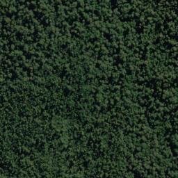 Satellite imagery of Callery Spur, NZ