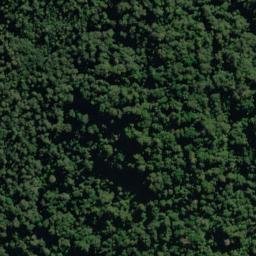 Satellite imagery of Callery Spur, NZ