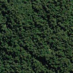 Satellite imagery of Callery Spur, NZ
