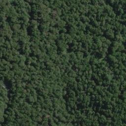 Satellite imagery of Division Spur, NZ
